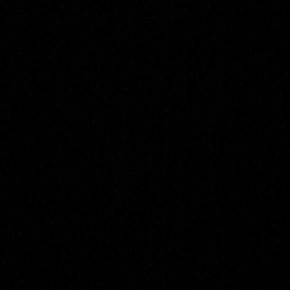 Meet your Posher, Taylor - Picture 1 of 1